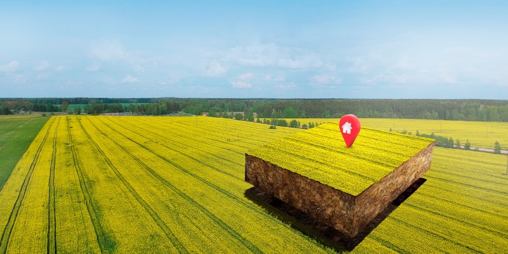 Plot Image